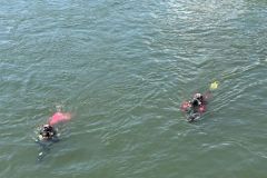 IMG-20250504-WA0004
