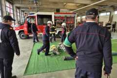 WhatsApp-Image-2025-11-16-at-12.37.51-6 WhatsApp-Image-2025-11-16-at-12.37.51-6