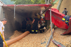 vua14