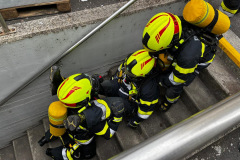 a5bfc497-5993-45ea-9329-5112dd0786bc a5bfc497-5993-45ea-9329-5112dd0786bc