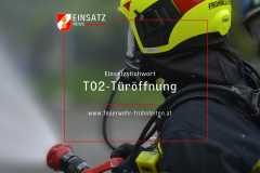 Sujets-Einsatz-Titel - 2