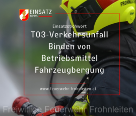 Sujets-Einsatz-Titel - 3