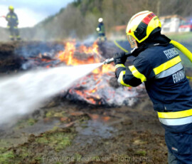 IMG-20220417-WA0001