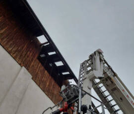 IMG-20220819-WA0019