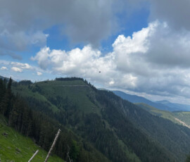 IMG-20230612-WA0029