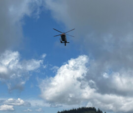 IMG-20230612-WA0042