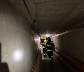 IMG-20230911-WA0025