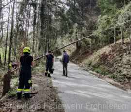 IMG-20240401-WA0057