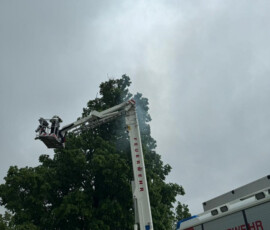 IMG-20240521-WA0027