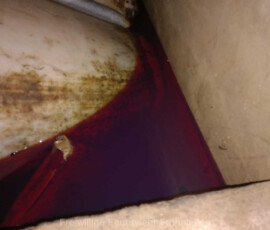 IMG-20240609-WA0025