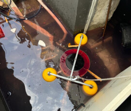 IMG-20240609-WA0071