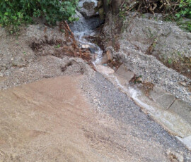 IMG-20240611-WA0016