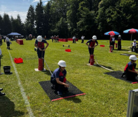 IMG-20240623-WA0012