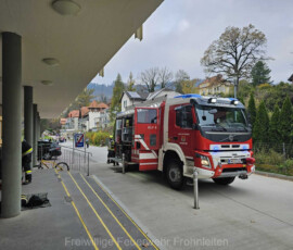 IMG-20241105-WA0006