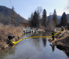 IMG-20250308-WA0041
